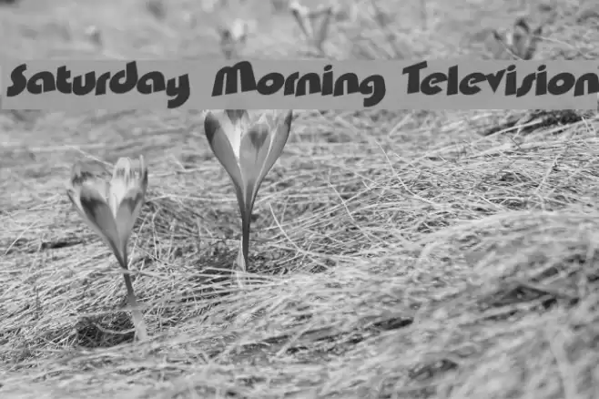 Saturday Morning Television Font examples