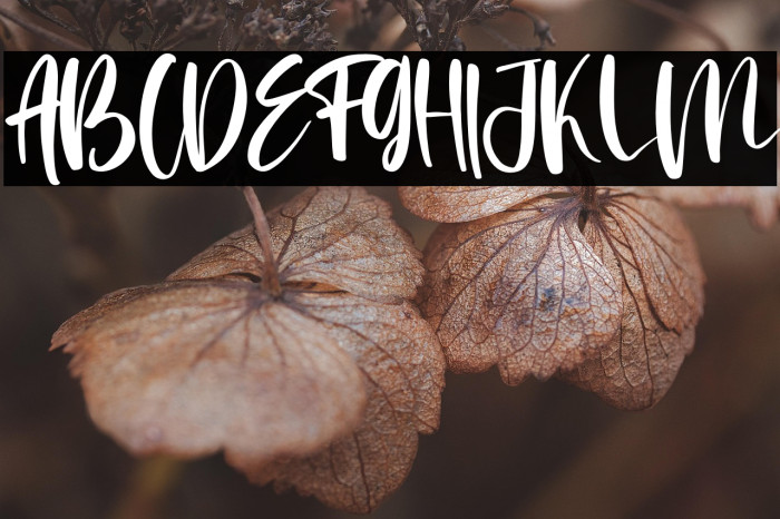 Saturday Morning Example 1