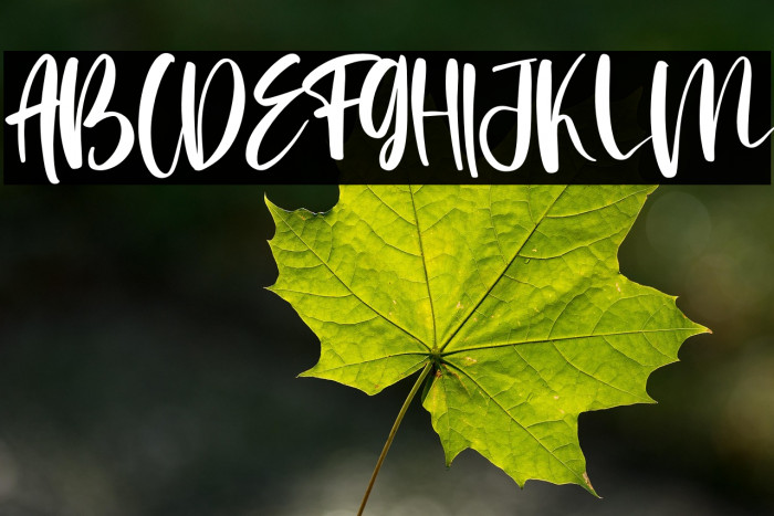 Saturday Morning Example 3