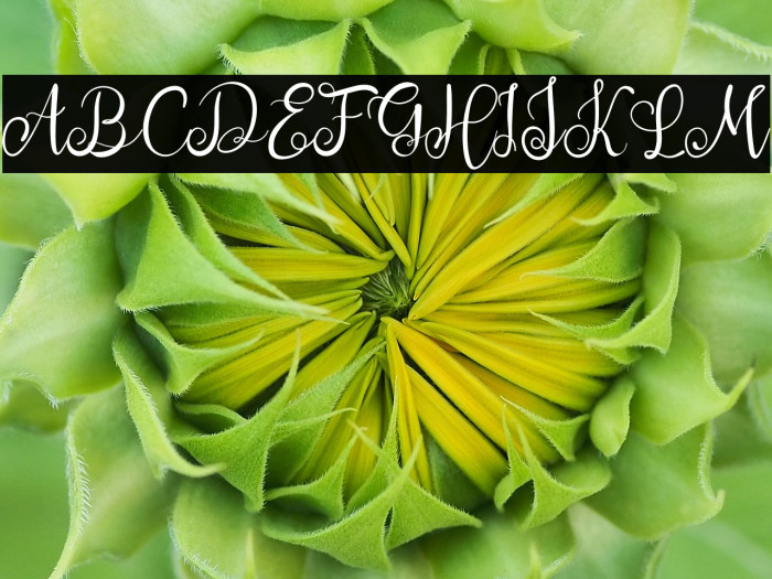 Saturday Night Example 1