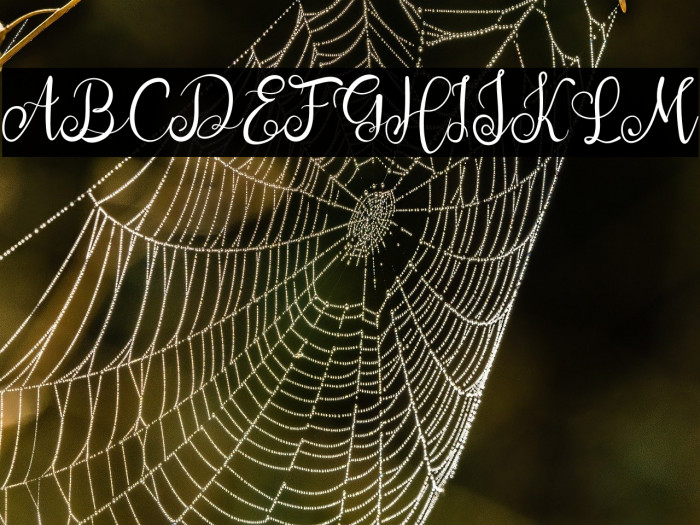 Saturday Night Example 2