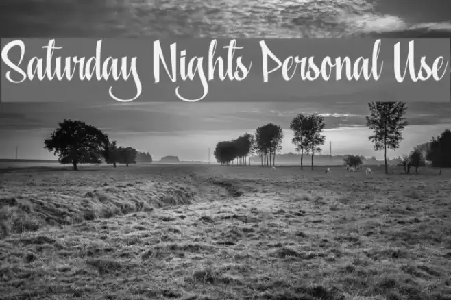 Saturday Nights Personal Use Font examples