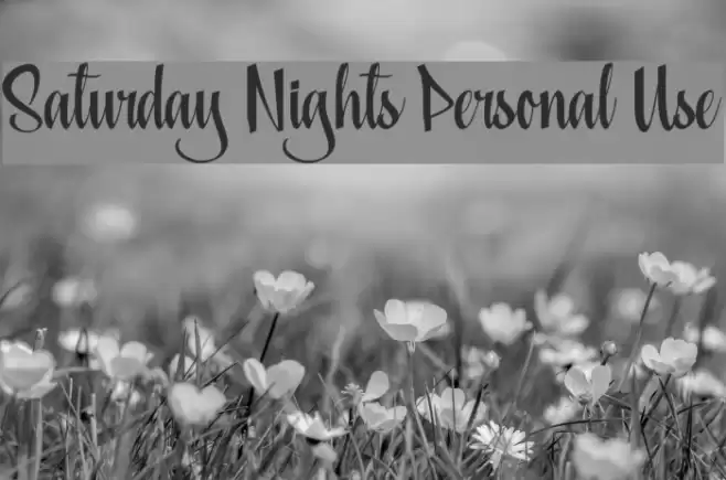 Saturday Nights Personal Use Font examples