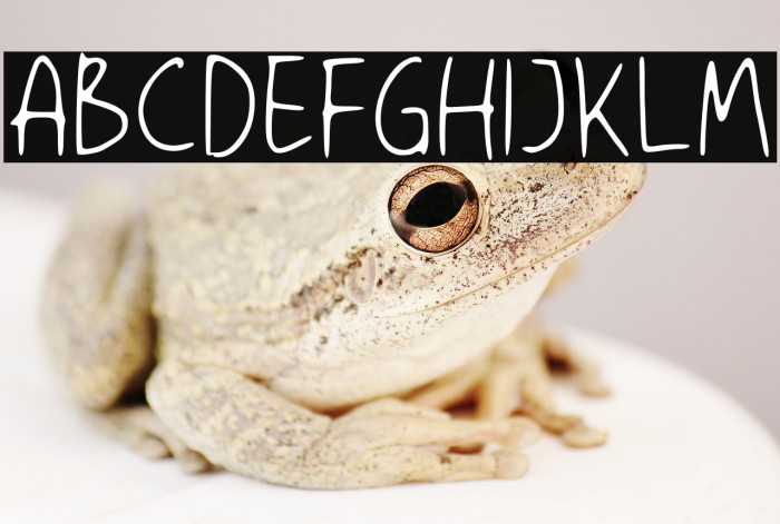 Saturday Party GT Demo Example 1