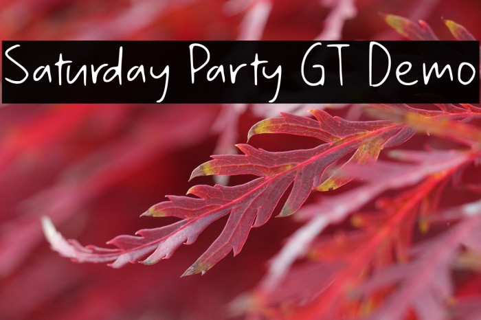 Saturday Party GT Demo Example 1