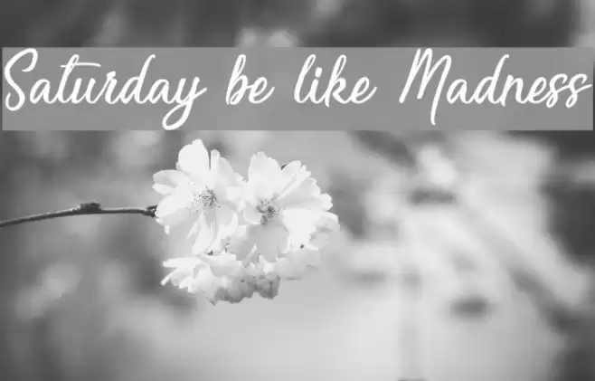 Saturday be like Madness Font examples