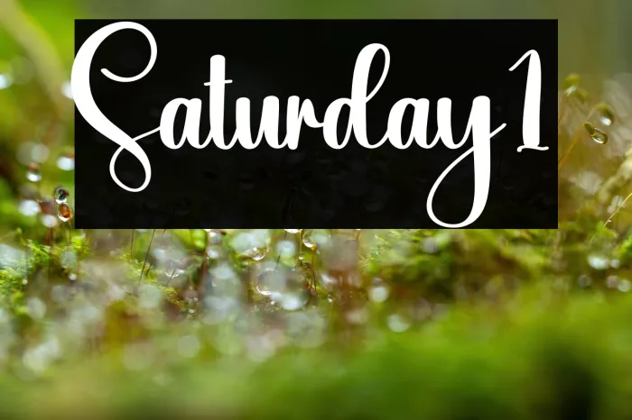 Saturday1 Example 1