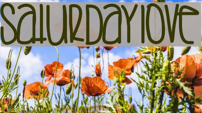 SaturdayLove Font examples