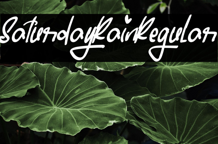 SaturdayRainRegular Example 1