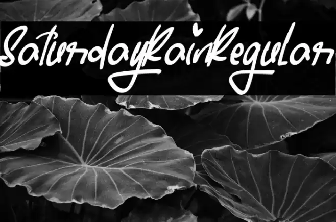 SaturdayRainRegular Font examples