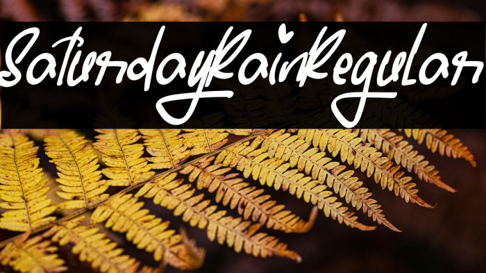 SaturdayRainRegular Example 2