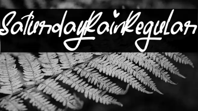 SaturdayRainRegular Font examples