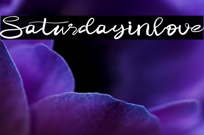 Saturdayinlove Example 3