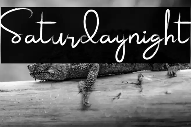 Saturdaynight Font examples