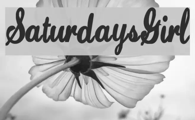 SaturdaysGirl Font examples