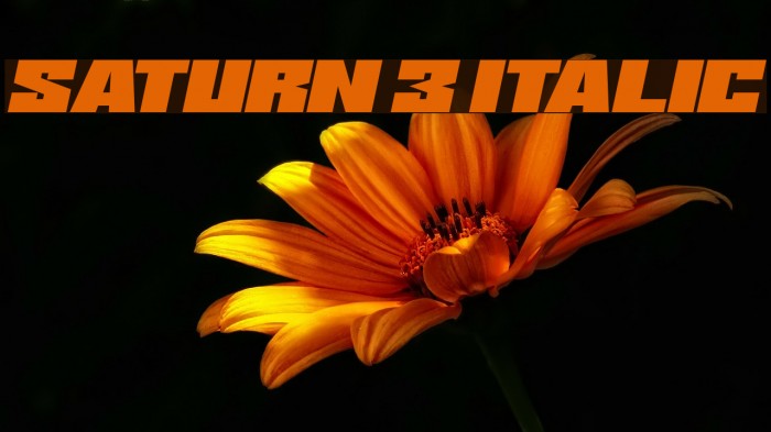Saturn 3 Italic Font examples