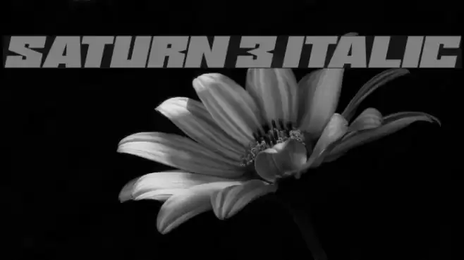 Saturn 3 Italic خط examples