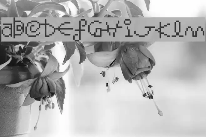 Saturn Boing Regular Font examples