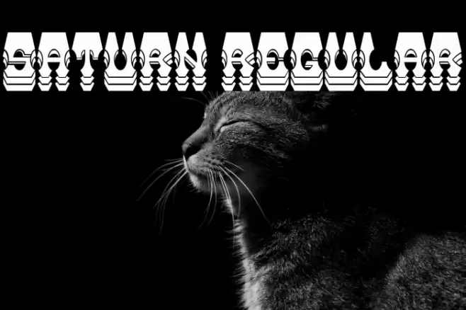 Saturn Regular Font examples