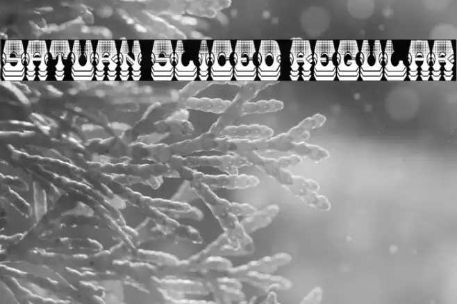 Saturn Sliced Regular Font examples