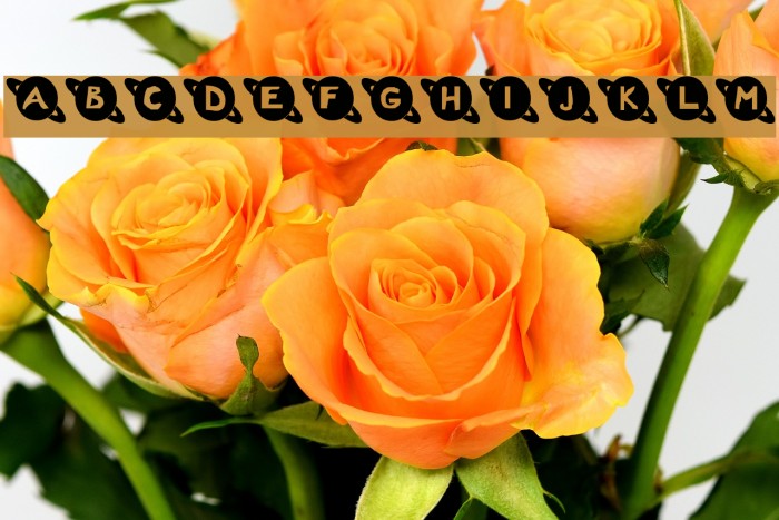 Saturn Font examples
