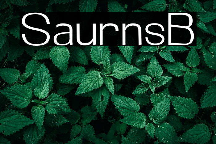 Saturnest Bold Example 3