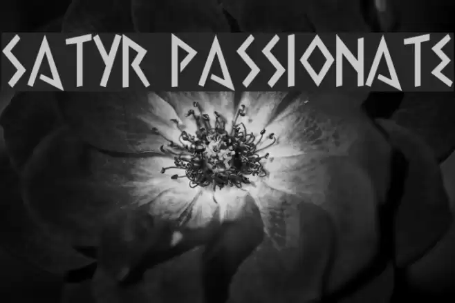 Satyr Passionate Font examples