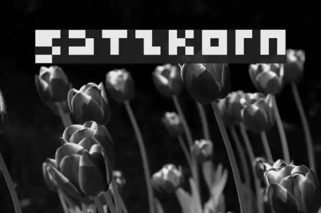 Satzkorn Font examples