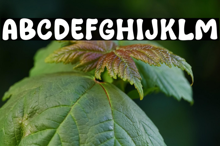 Sauce Barbe Example 3