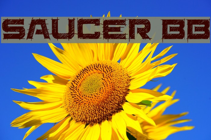 Saucer BB Font examples