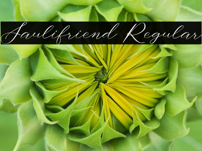 Saulifriend Regular Example 2