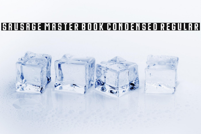 Sausage Master Book Condensed Regular Example 1