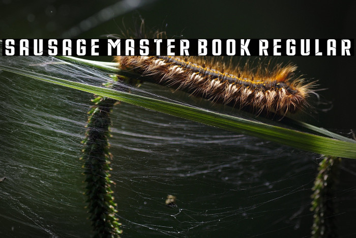 Sausage Master Book Regular Example 3