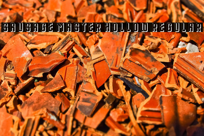 Sausage Master Hollow Regular Example 3