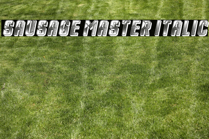 Sausage Master Italic Example 1