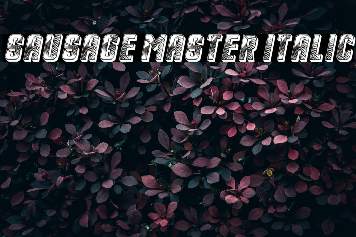 Sausage Master Italic Example 3