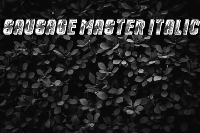 Sausage Master Italic Font examples