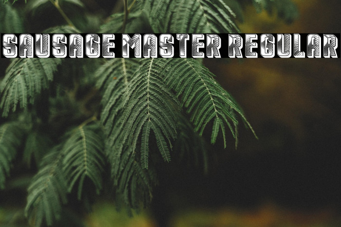 Sausage Master Regular Example 1