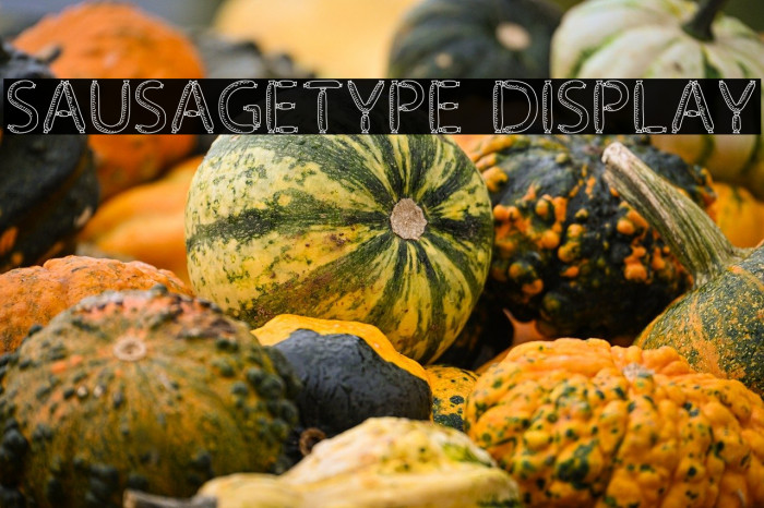 SausageType Display Example 1