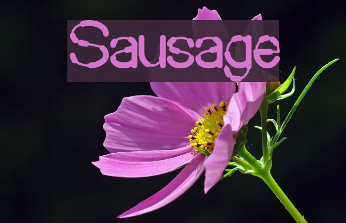 Sausage Schriftart examples