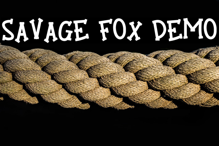 Savage Fox Demo Example 3