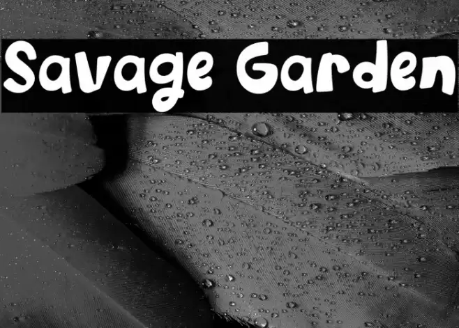 Savage Garden خط examples