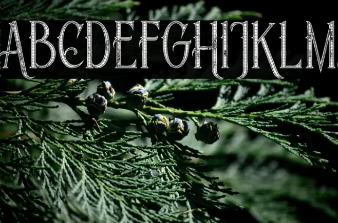 Savana Inline Grid Grunge Example 1