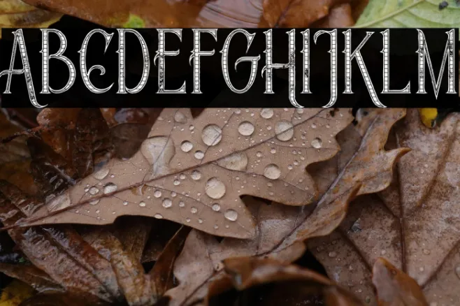 Savana Inline Grid Grunge Example 3