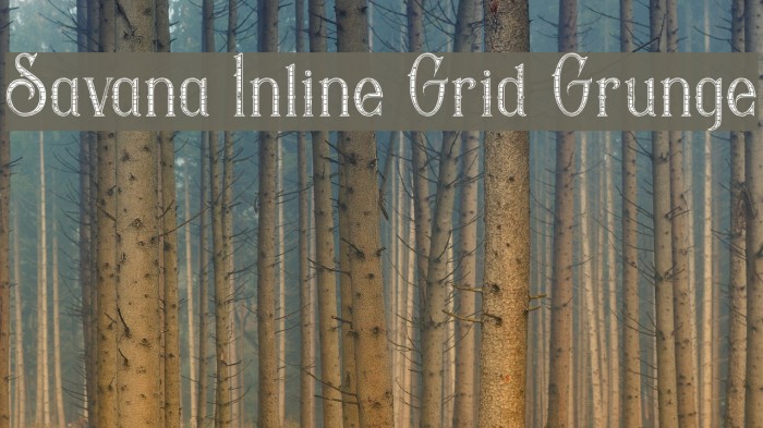 Savana Inline Grid Grunge Font examples