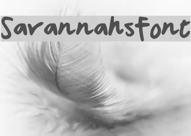 SavannahsFont Font examples