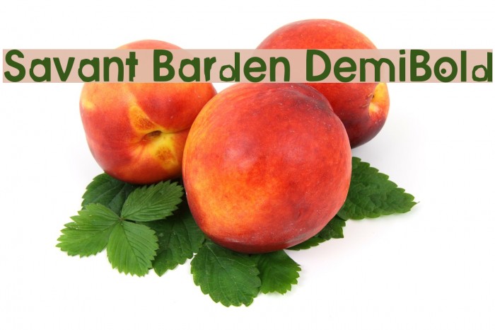Savant Barden DemiBold Font examples