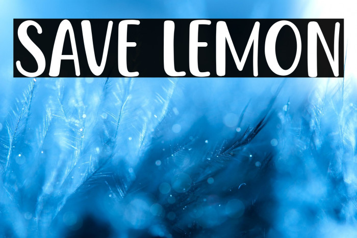 Save Lemon Example 3