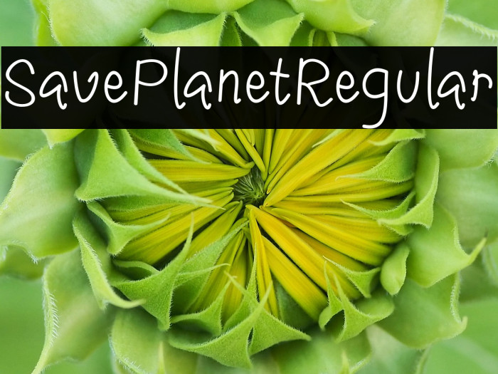 SavePlanetRegular Example 3