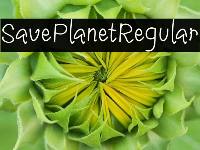 SavePlanetRegular Example 3